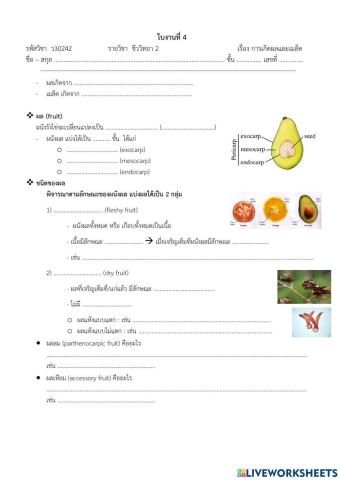 ใบงานที่ 4 การเกิดผลและเมล็ด