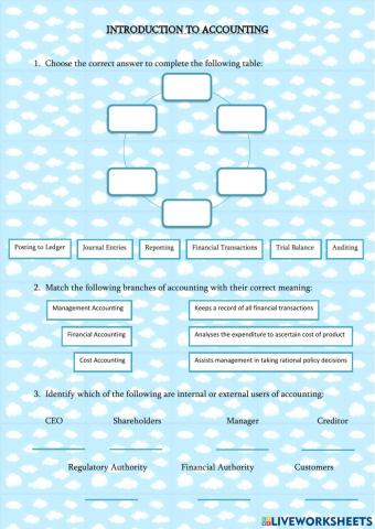 Introduction to Accountancy