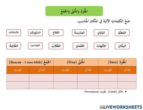 مفرد مثنى وجمع