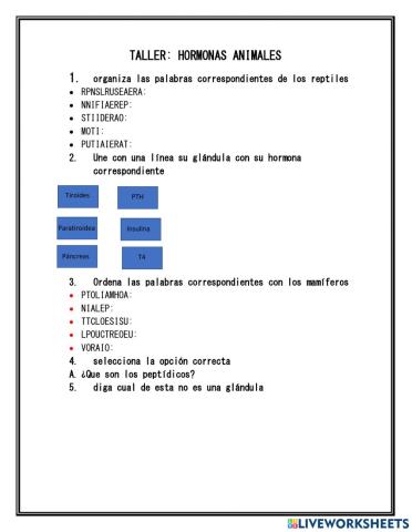 Glandulas y hormonas animales
