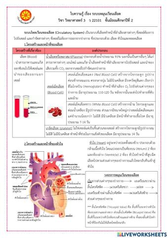 ระบบหมุนเวียนเลือด