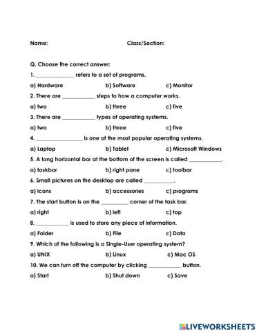 Computer Worksheet 1