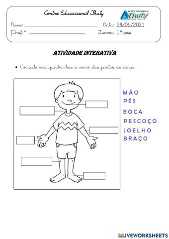 Partes do corpo