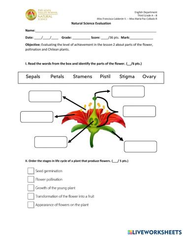 Natural science test 3