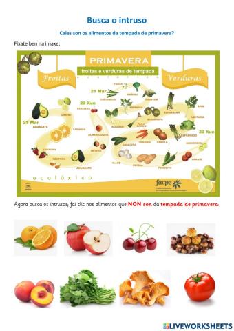 Alimentos de tempada: Primavera