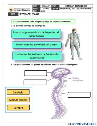 Examen Bimestral de Ciencia y Tecnología