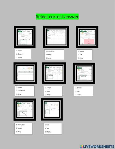 Excel format3