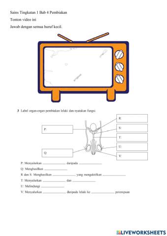 Sains Tingkatan 1 Bab 4 Pembiakan Seks dan Kitar Haid