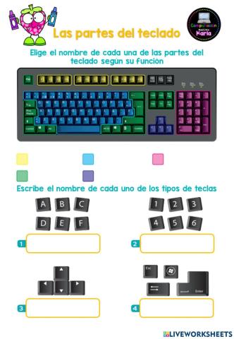 Las partes del teclado