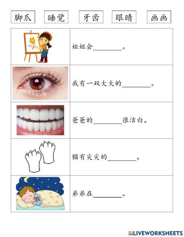 一年级华文鼠老师画猫 填充