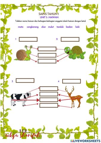 Sains tahun 1- unit 5 haiwan