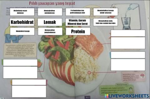 PJPK Tahun 5 - Nutrien Menjamin Kesihatan