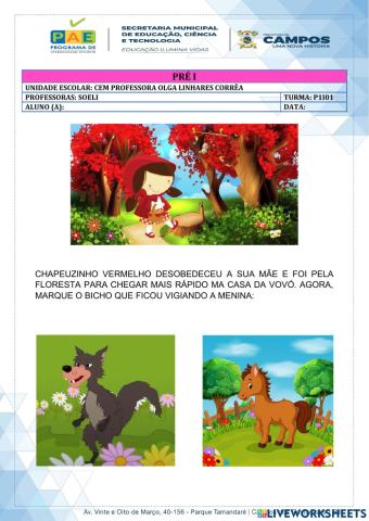 Educação Infantil - Interpretação