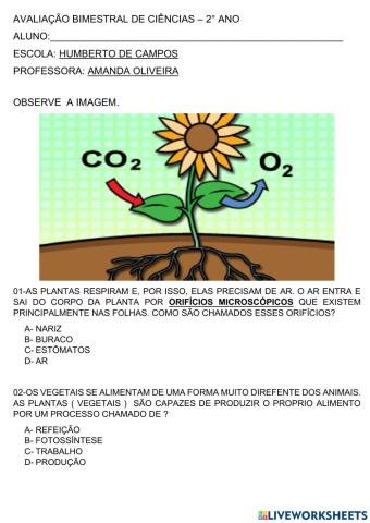 Avaliação de ciencias