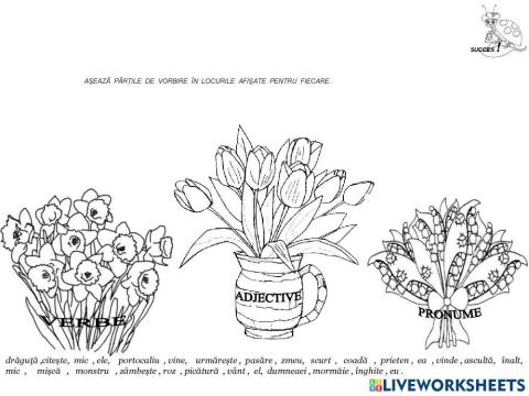 Evaluare: verbul, adjectivul, pronumele