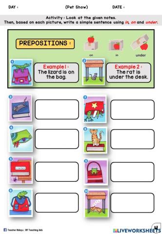 Pet Show (Prepositions : Write sentences)