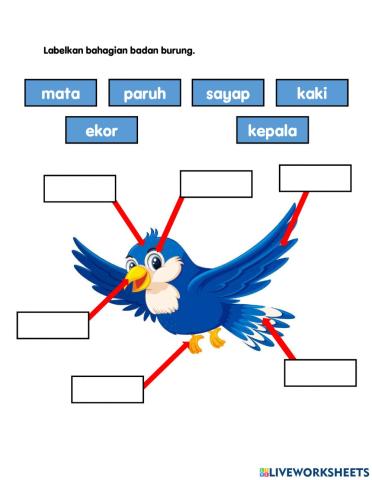 Labelkan anggota badan burung