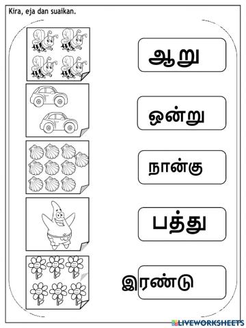 Match the words to the correct numbers of pictures