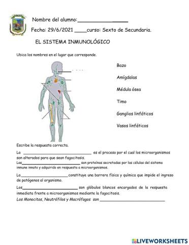 SISTEMA INMUNITARIO