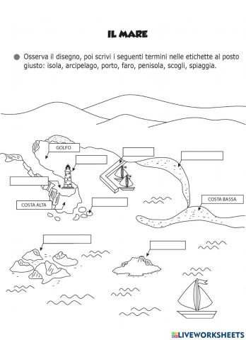 Metti in ordine