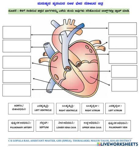 ಸರ್ಕಾರಿ ಪ್ರೌಢಶಾಲೆ, ತೊರಲಕ್ಕಿ