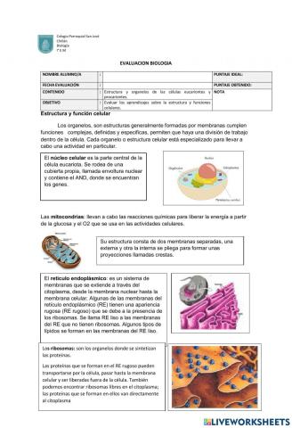 Estructura de la celula