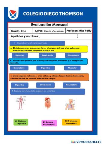 Evaluación 2do grado