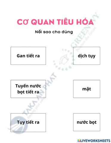 TE VN lớp 2