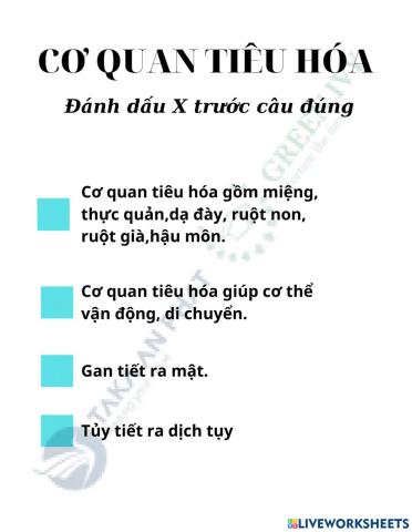 TE VN lớp 2