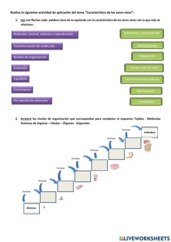 Actividad: características de los seres vivos