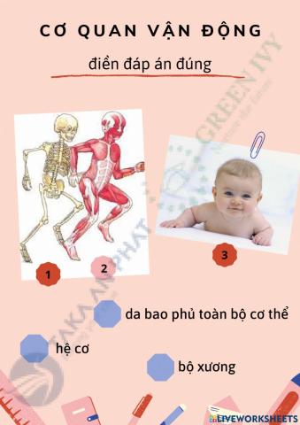 TE VN lớp 2