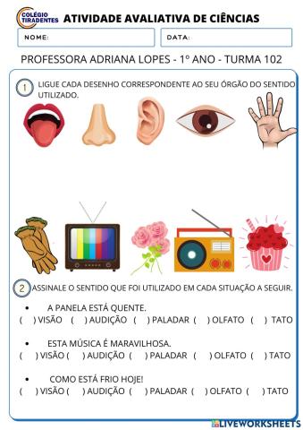 Atividade avaliativa de CIÊNCIAS