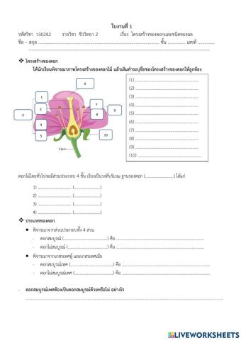 ใบงานที่ 1 โครงสร้างของดอกและชนิดของผล