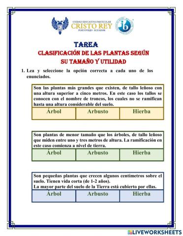 Clasificación de las plantas por su tamaño y utilidad