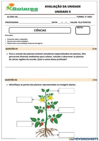 Avaliação ciências 2ª unidade