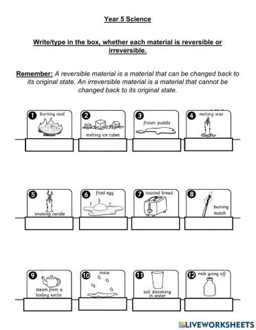 Year 5 Reversible and Irreversible Changes