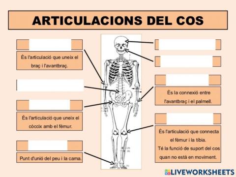 Articulacions del cos