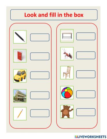 Look and fill in the box