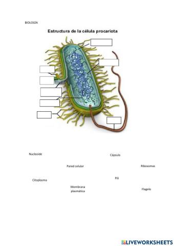 Biología