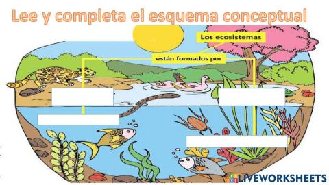 Los ecosistemas