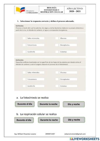 Fotosíntesis y respiración celular