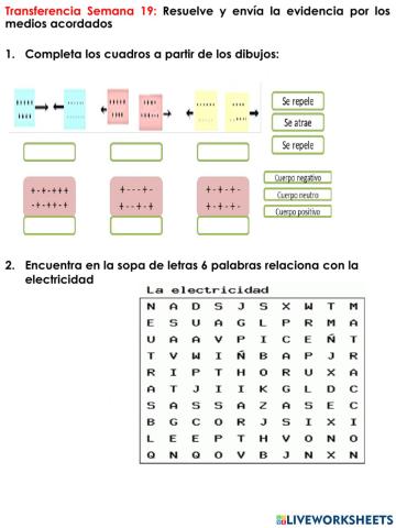 C.N-Transferencia Semana 19