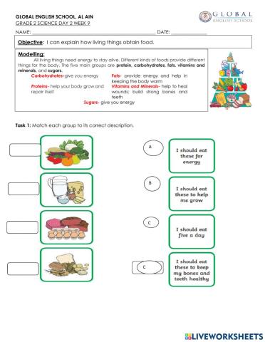 Science-food groups