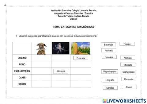 Clasificación taxonómica