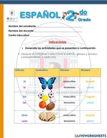 Concordancia del sustantivo en género y número