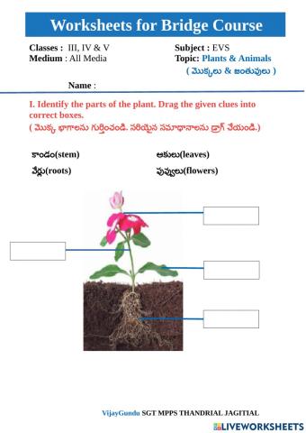 Bridge course evs 1 by Vijay Gundu