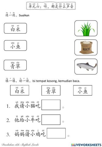 Bcsk T3 单元六：听，那是什么声音 （它吃什么？）