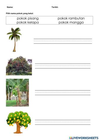 Jenis Pokok