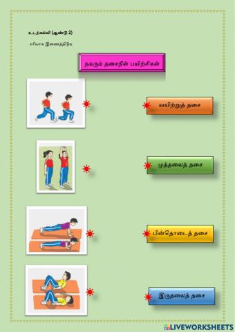 சுறுசுறுப்பின் கூறுகள்