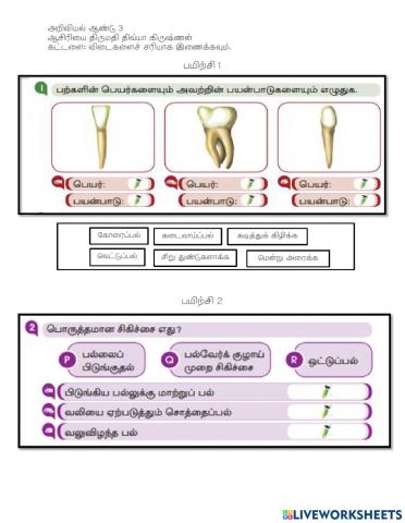 Sains